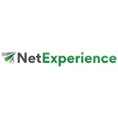 netexperience.com's icon