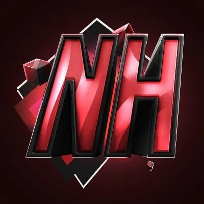 netherite.gg's icon