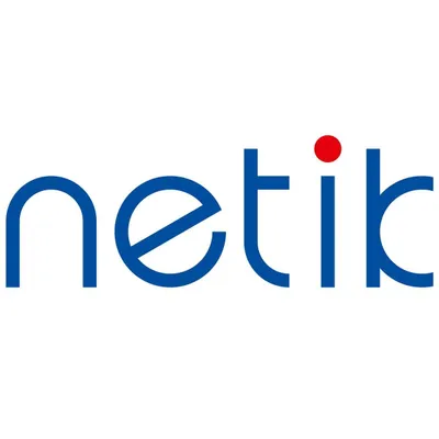 netik.de's icon