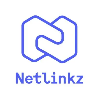 netlinkz.com's icon