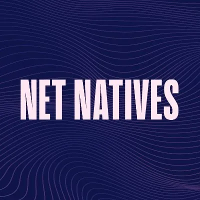 netnatives.com's icon
