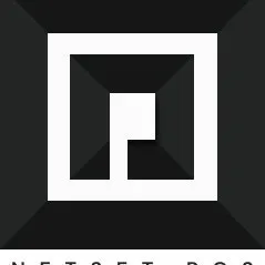 netsetpos.com's icon