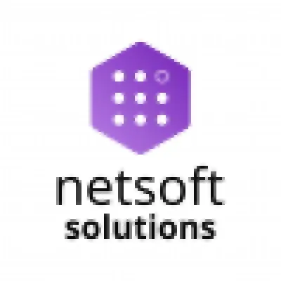 netsoftit.net's icon