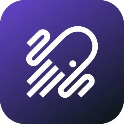 netsparker.com's icon