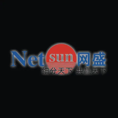 Zhejiang NetSun Co., Ltd.'s icon