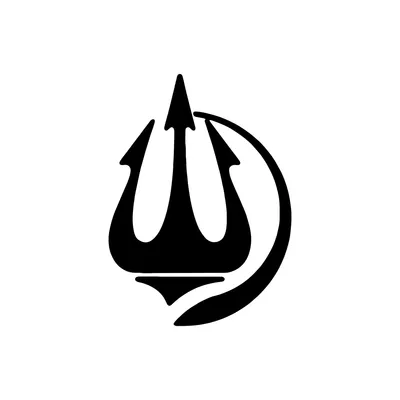 nettunosistemi.com's icon