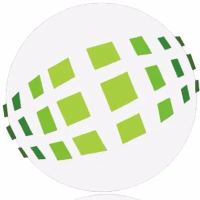 netwconsulting.com's icon