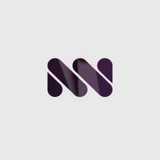 netwerk.hu's icon