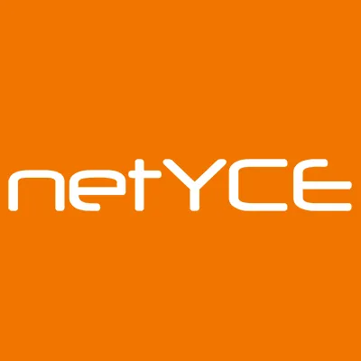 netyce.com's icon