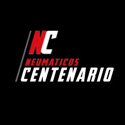 neumaticoscentenario.com.ar's icon