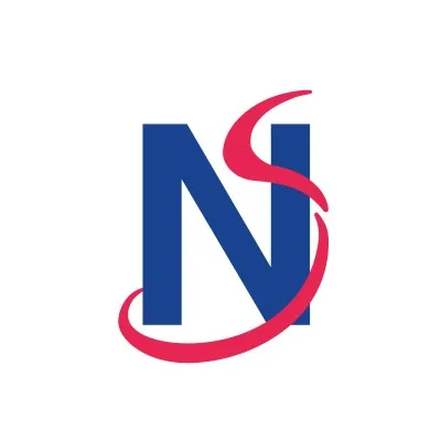 neuralsoft.com's icon