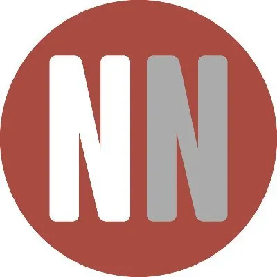 neuronewsinternational.com's icon