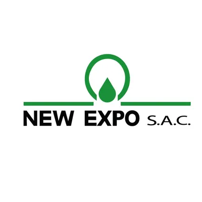 new-expo.com's icon