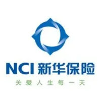 newchinalife.com's icon