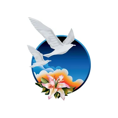 newimage.asia's icon