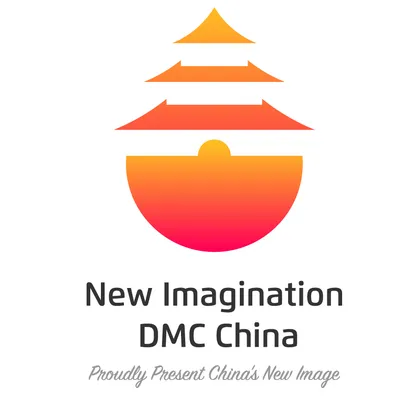 newimaginationdmc.com's icon