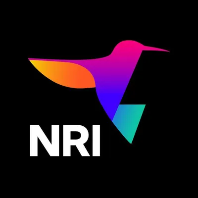 newrecruitsinternational.com's icon