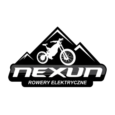 Nexun's brand icon
