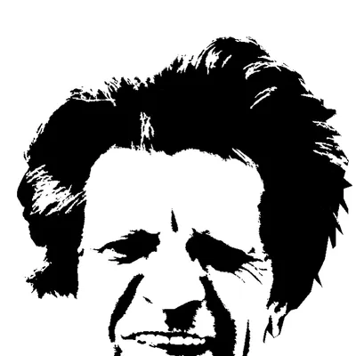 nflp.cz's icon