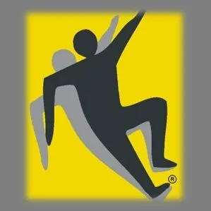 nfsi.org's icon