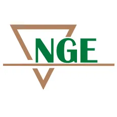 ngeconsulting.com's icon