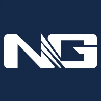 ngi.com.br's icon