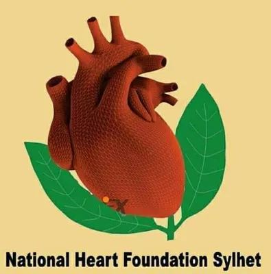 nhfhs.org's icon