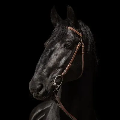nhkladruby.cz's icon