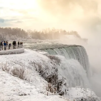 niagarafallsstatepark.com's icon