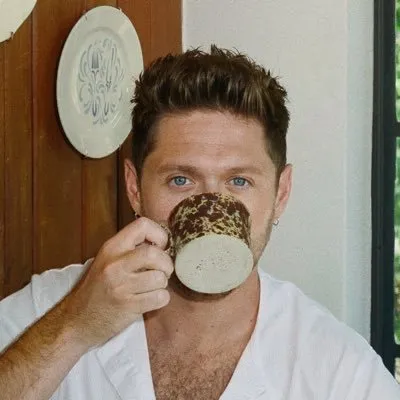 niallhoran.com's icon