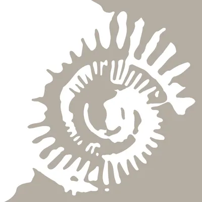 nibostone.nl's icon