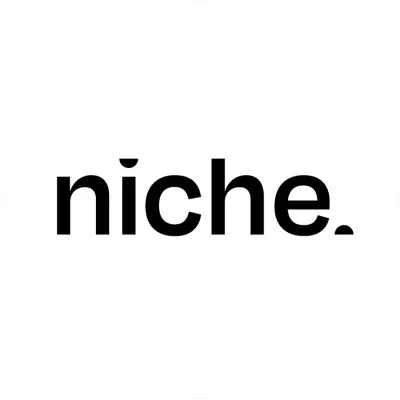nicherecruitment.co.nz's icon