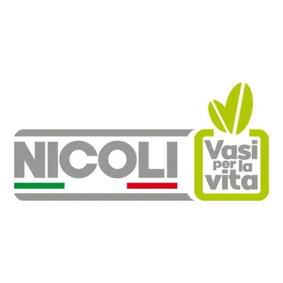 nicoli.com's icon
