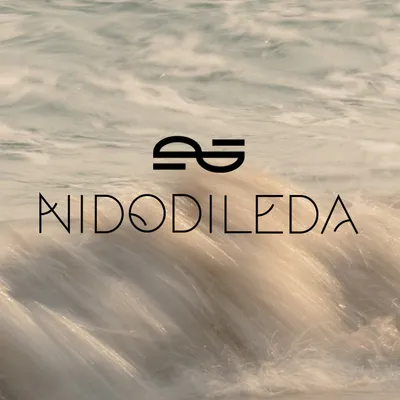 nidodileda.com's icon