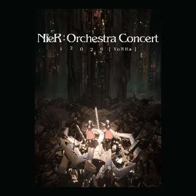 nierconcert.com's icon