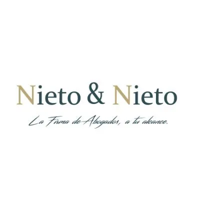 nietonieto.com's icon