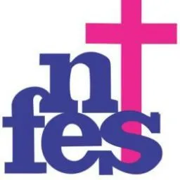 nifes.org.ng's icon