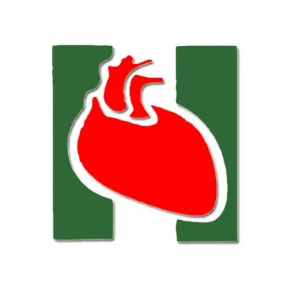 nigerianheart.org's icon