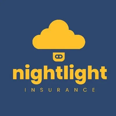 nightlightinsurance.com's icon