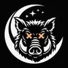 nightwardoptics.com's icon