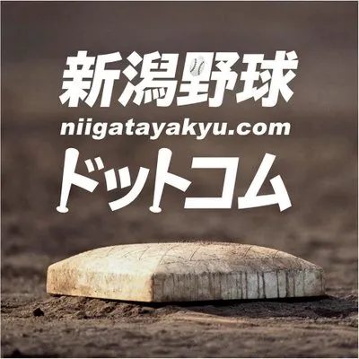 niigatayakyu.com's icon