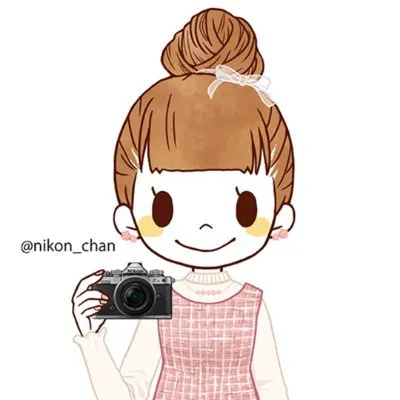 nikon-image.com's icon