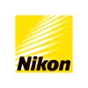 NN  Avatar