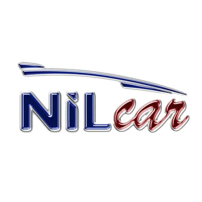 nilcarseminovos.com.br's icon