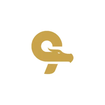 ninedragonlabs.com's icon