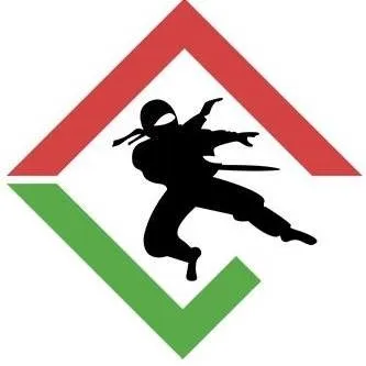 ninjaelevators.com's icon