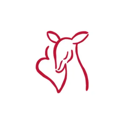 ninomiya-lc.jp's brand icon