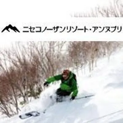 niseko-northern.com's icon