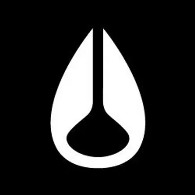 Nixon's icon