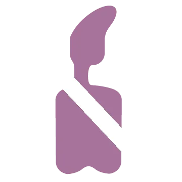 nobilitychiropractic.com's icon